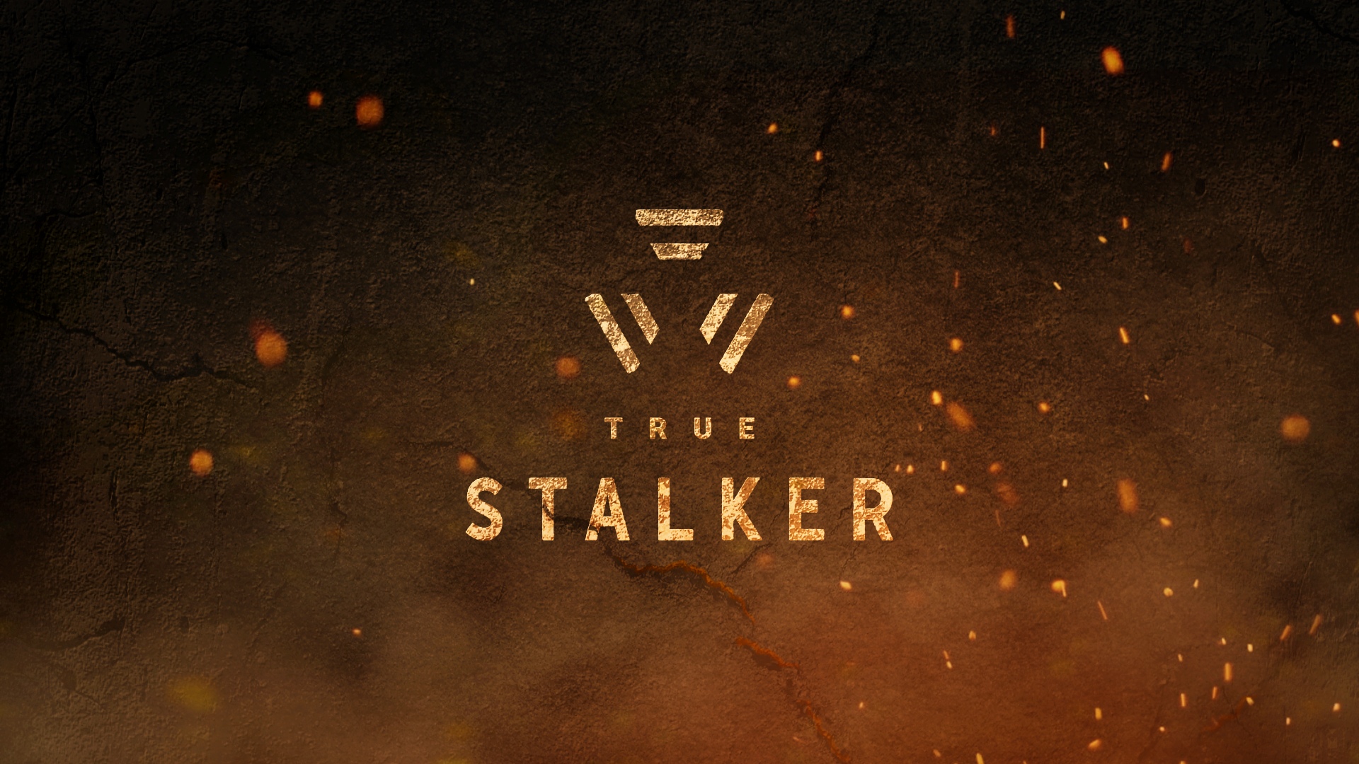 True Stalker - S.T.A.L.K.E.R.: Call of Pripyat